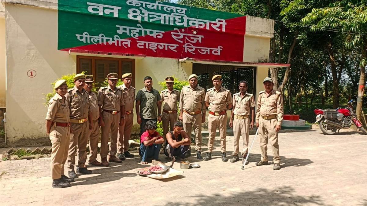 accused arrested with chital meat in pilibhit tiger reserve fined rs 2 lakh