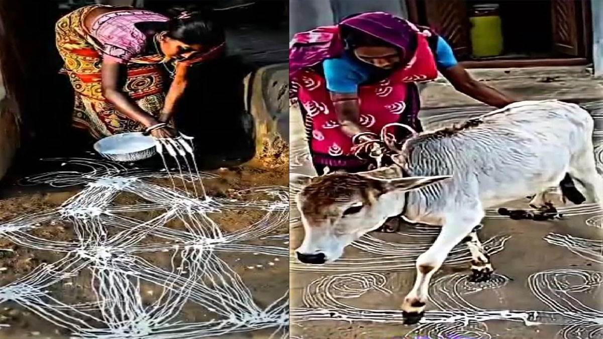 dhanbad on the eve of sohrai festival choikh competition is going to organised in dhanbad to know more read whole news