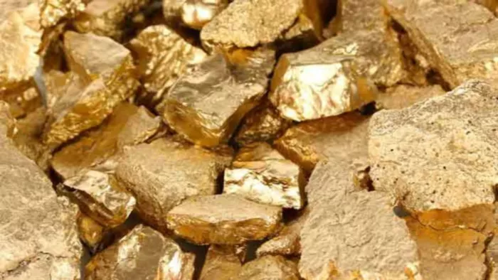 Gold Mine in MP: सिंगरौली में गुरहर पर्वत पर सोने की खान की खोज की है