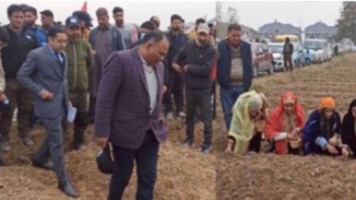 tourist tour in saffron ki kyari in south kashmir