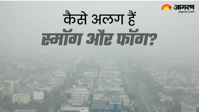 एक-दूसरे से कितना अलग है फॉग और स्मॉग?