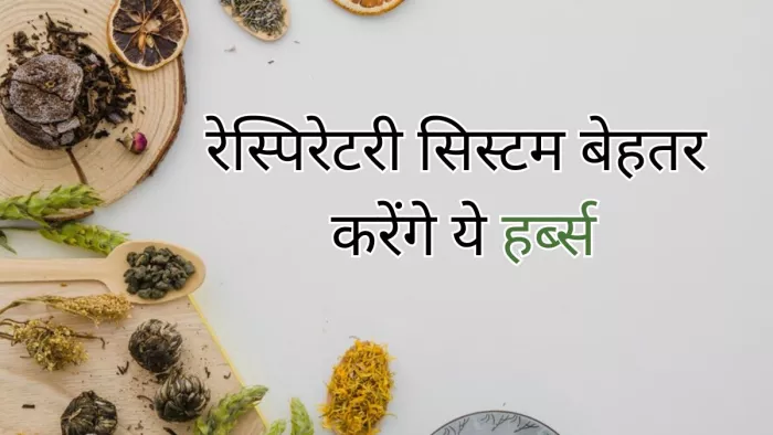 वायु प्रदूषण से बचाते हैं ये हर्ब्स