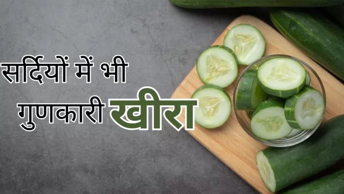 सर्दियों में भी फायदा पहुंचाता है खीरा
