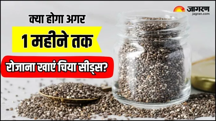 एक महीने तक रोजाना खाएंगे Chia Seeds, तो सेहत पर ऐसा पड़ेगा असर (Image Source: Freepik)