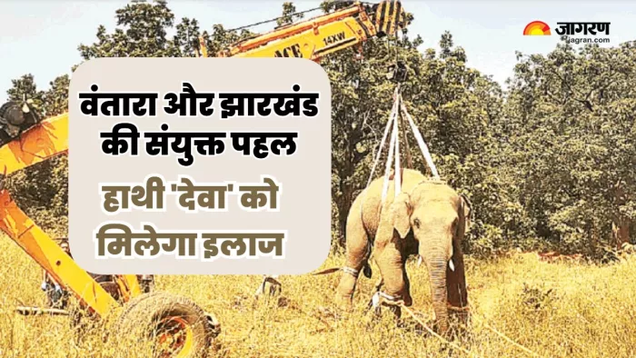 क्रेन से उठाए गए घायल गजराज, एंबुलेंस से भेजा गया जामनगर।