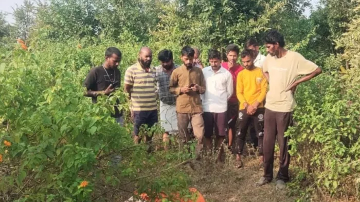 उमरिया जिले में हाथियों ने मचाया उत्पात। (फाइल फोटो)