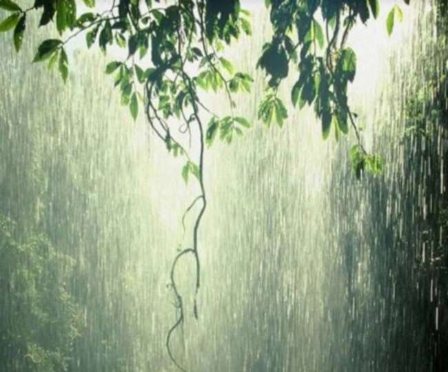 गुजरात की 108 तहसीलों में बेमौसम बरसात हुई।