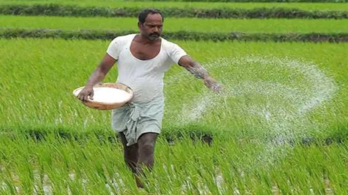 Enterprises Related To Agriculture Will Get Attention, See Details