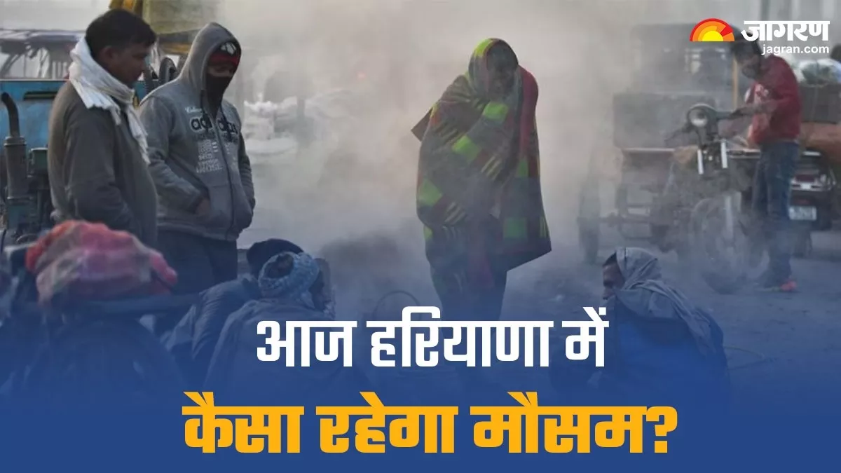 Haryana Weather- ठंड दिखा रही तेवर तो अब छाएगा घना कोहरा, तीन दिन होगी झमाझम बारिश; सर्दी से ठिठुरेंगे हरियाणावासी