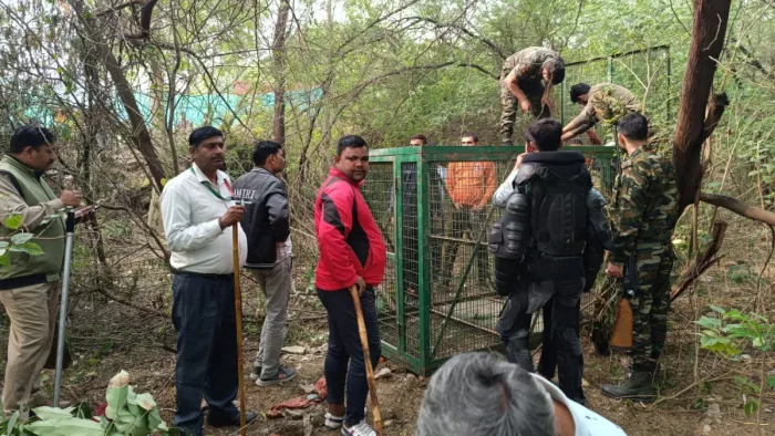 दक्षिणी दिल्ली के नेब सराय में तेंदुए को पकड़ने की कवायद।