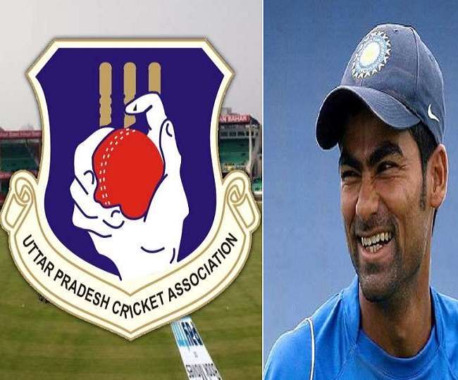 upca has declared committees former cricketer mohd kaif has been appointed as the chairman of the cricket talent committee
