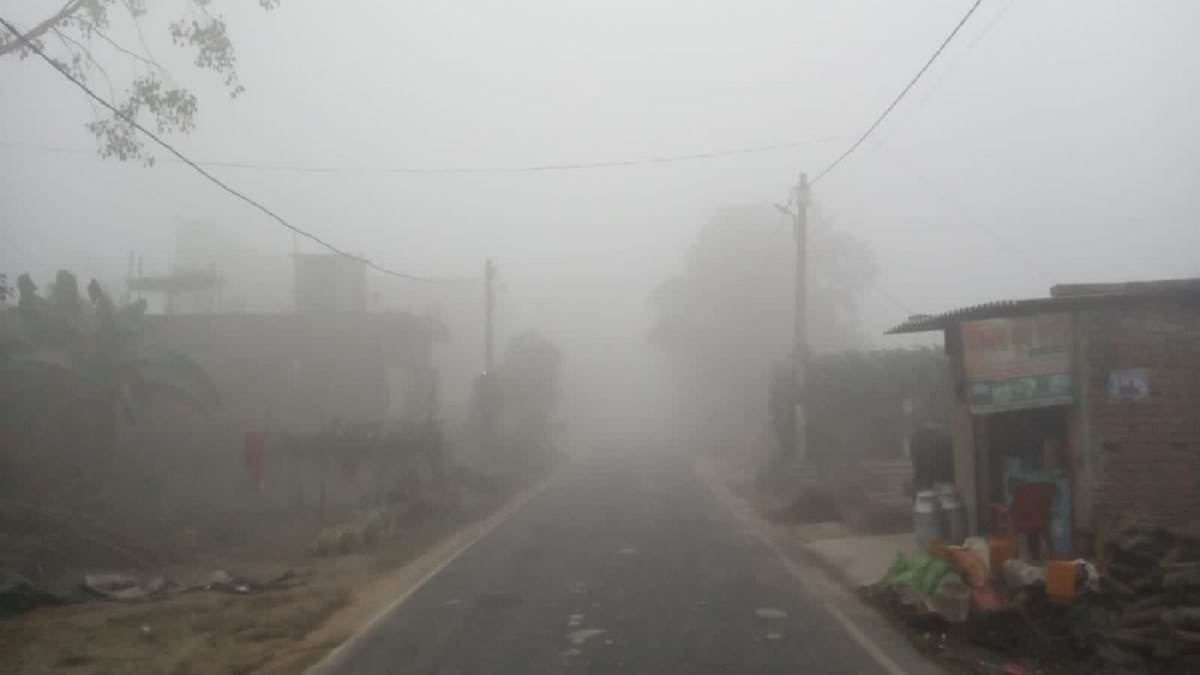 https://www.jagranimages.com/images/newimg/03012023/03_01_2023-cold_23281950_18285494.jpg
