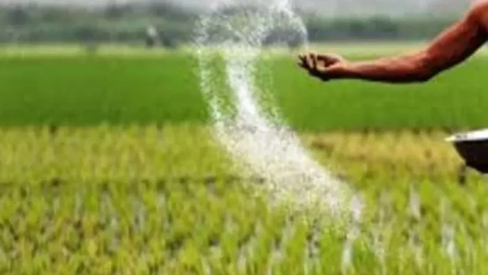 Punjab: अधिकारियों ने विभाग की कारगुजारी की रिपोर्ट प्रस्तुत की।