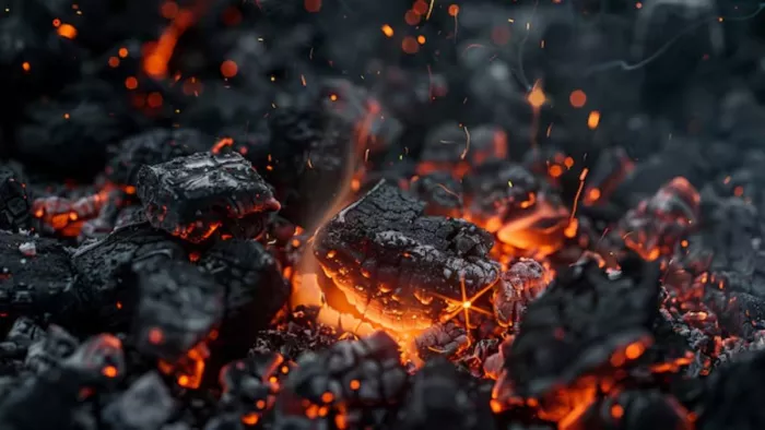 कोयला (Coal Effect) खरीदते समय कई बातों का ध्यान रखें। ( Pic Courtesy : Freepik)
