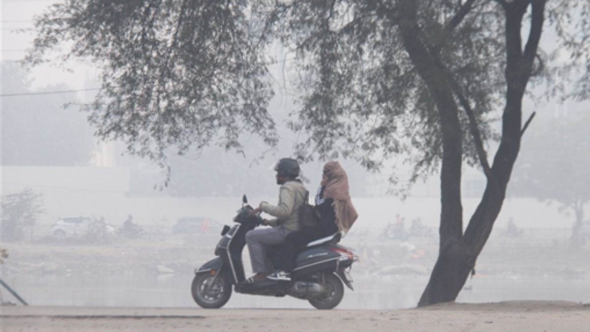 haryana weather update heavy cold in plain area snowfall in mountains balsamand is coldest in state possibility of rain