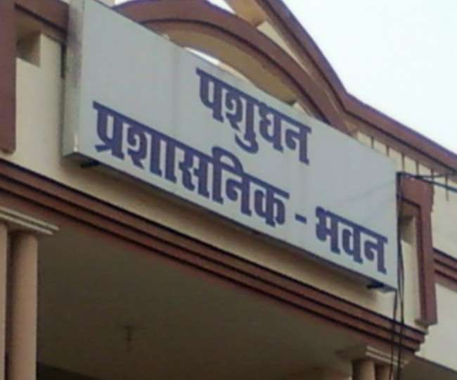 animal husbandry department negligence veterinary pharmacy diploma holders awaiting registration from six years jagran special