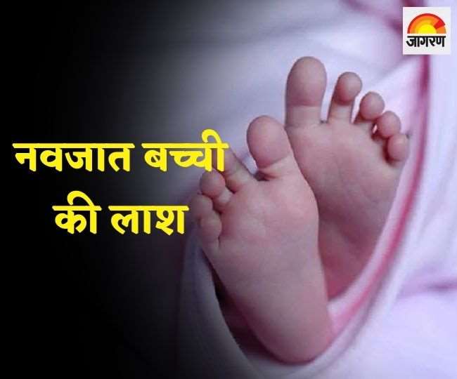 नवजात बच्ची की लाश कार्टून के डब्बे से बरामद, ग्रामीणों में सनसनी - JHARKHAND CRIME NEWS: Newborn Girl Body Found from cartoon box in Simdega sensation among villagers नवजात बच्ची की लाश कार्टून के डब्बे से बरामद, ग्रामीणों में सनसनी - JHARKHAND CRIME NEWS: Newborn Girl Body Found from cartoon box in Simdega sensation among villagers
