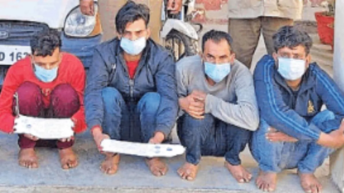 गोवंश पशुओं की हत्या में गिरफ्तार किए गए आरोपित। साभार पुलिस