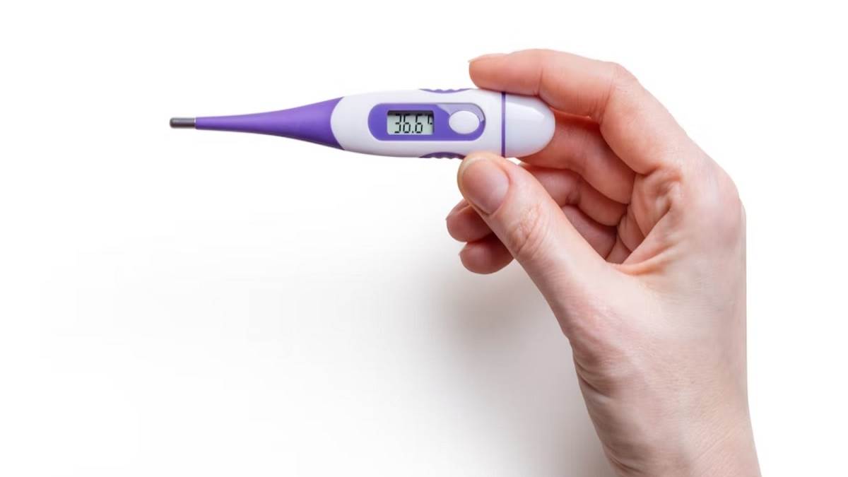 Digital Thermometer Cover Image Source : Unsplash