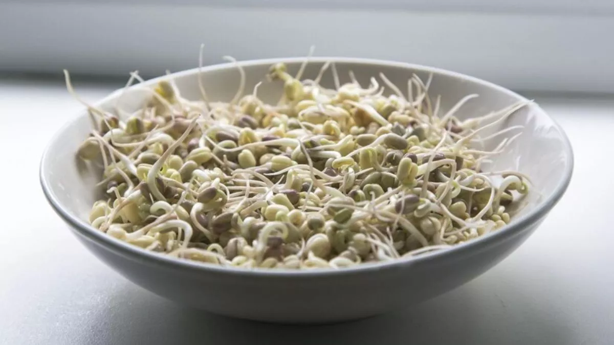 Benefits Of Moth Sprouts: अंकुरित मोठ खाने से मिलते हैं खास फायदे