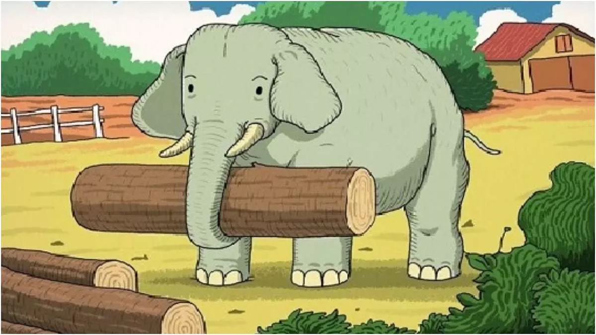 Optical Illusion: हाथी के फार्म पर स्पॉट करें दूसरे जानवर को, वह भी सिर्फ  11 सेकंड में! - Optical Illusion: Can You Spot A Second Animal In Elephants  Farm In 11 Seconds