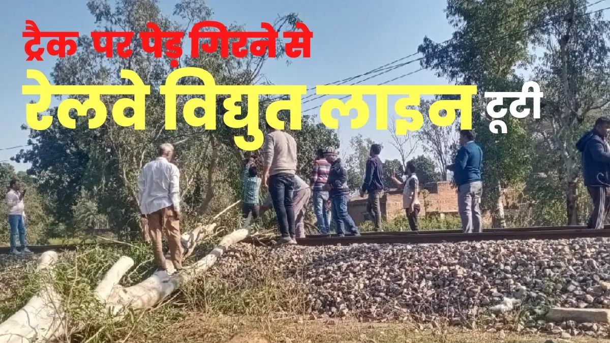 Chitrakoot: पेड़ गिरने से रेलवे विद्युत लाइन टूटी, आधा दर्जन ट्रेनों का 7 घंटे बाद शुरू हुआ संचालन