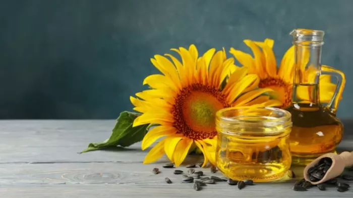 Sunflower Seeds Benefits: सूरजमुखी के बीज से मिलेंगे सेहत को ये फायदे