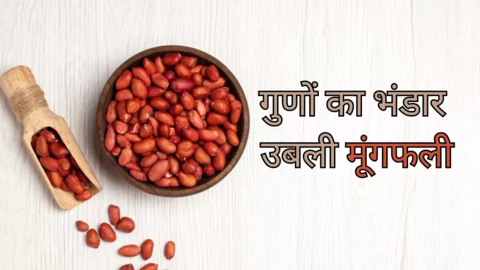 क्या आप जानते हैं उबली मूंगफली खाने के फायदे