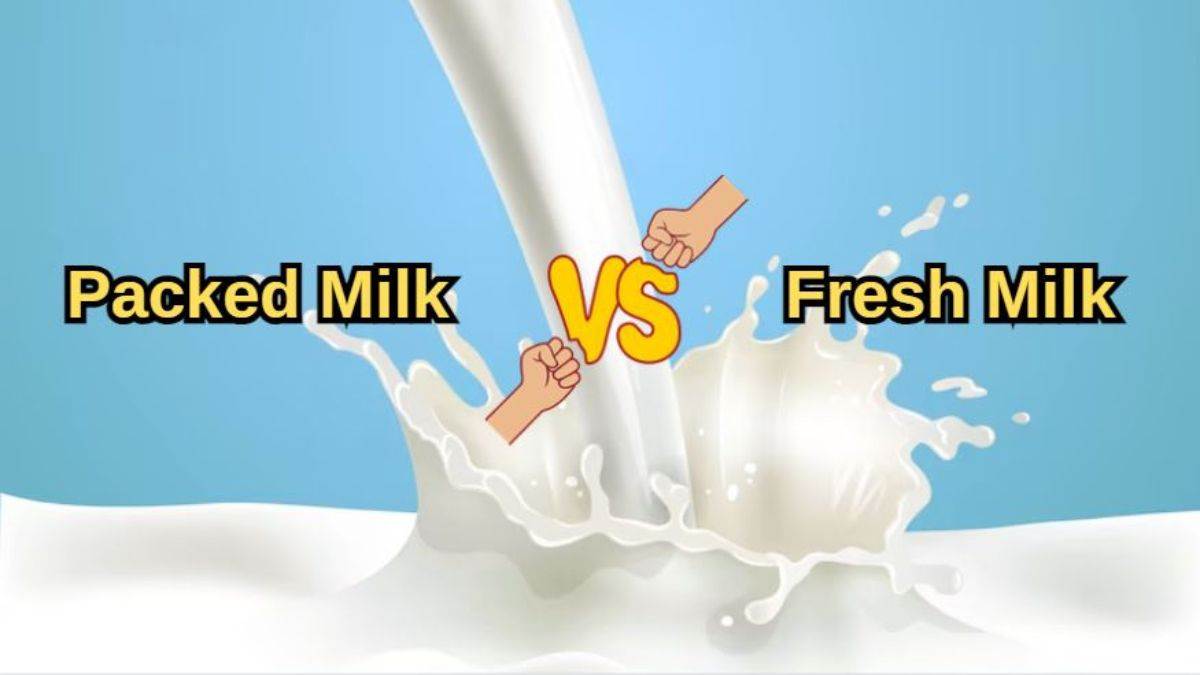 https://www.jagranimages.com/images/newimg/03022024/03_02_2024-packed_milk_vs_fresh_milk_23644608.jpg