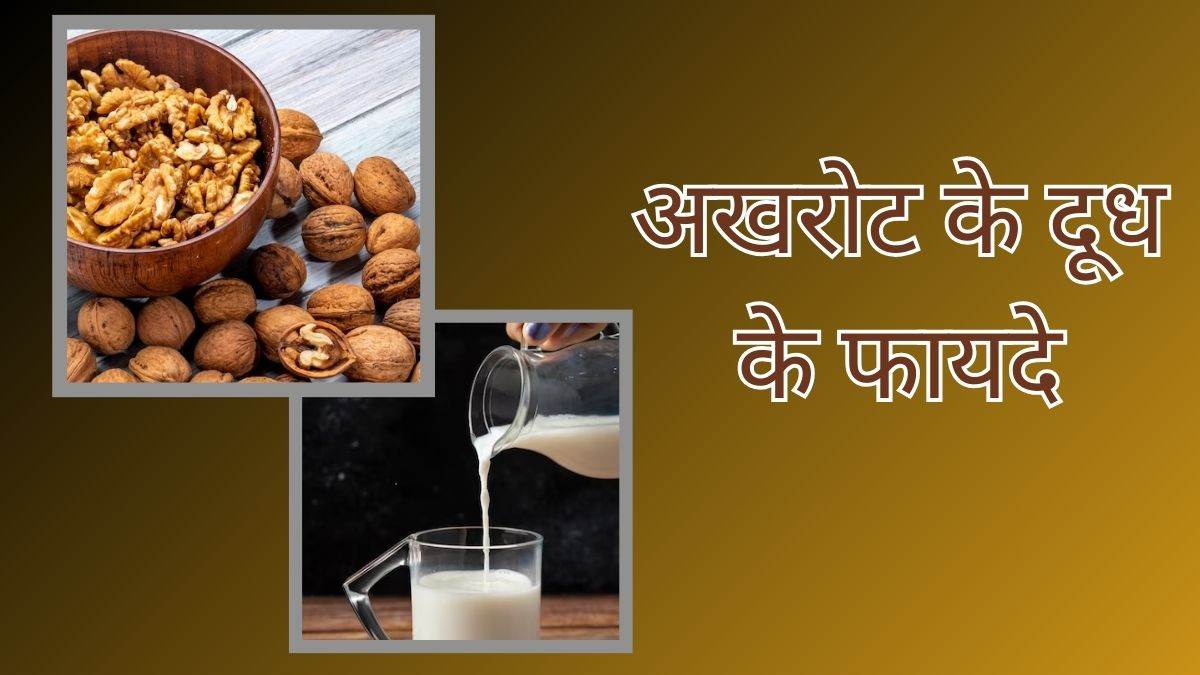 Walnut Milk Benefits गुणों का भंडार है अखरोट का दूध, दिल ही नहीं दिमाग