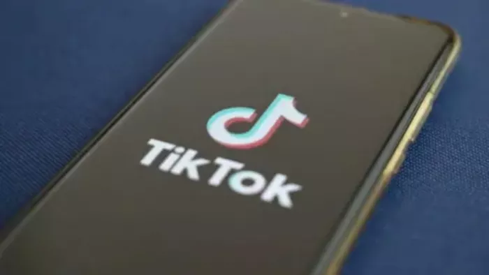 बहन बनाती थी Tiktok वीडियो, दो भाईयों ने मिलकर कर दी हत्या (प्रतीकात्मक फोटो)