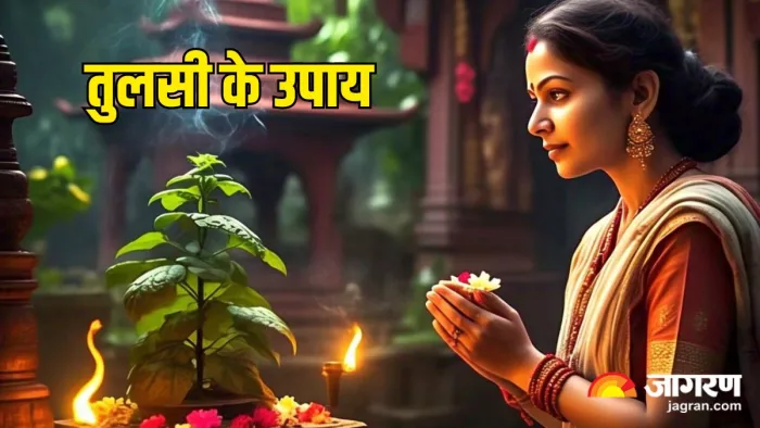 Tulsi Ke Upay: ऐसे करें धन प्राप्त (Pic Credit-AI)