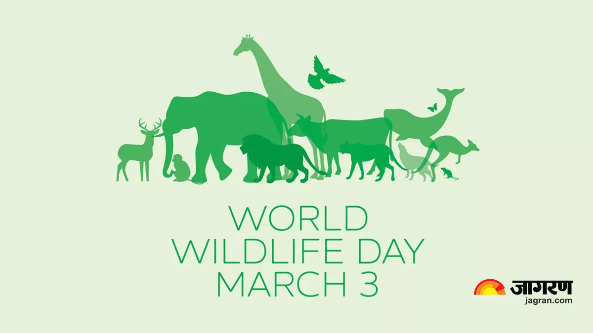 World Wildlife Day 2023: क्यों मनाया जाता है विश्व वन्यजीव दिवस, जानें इसका इतिहास व महत्व
