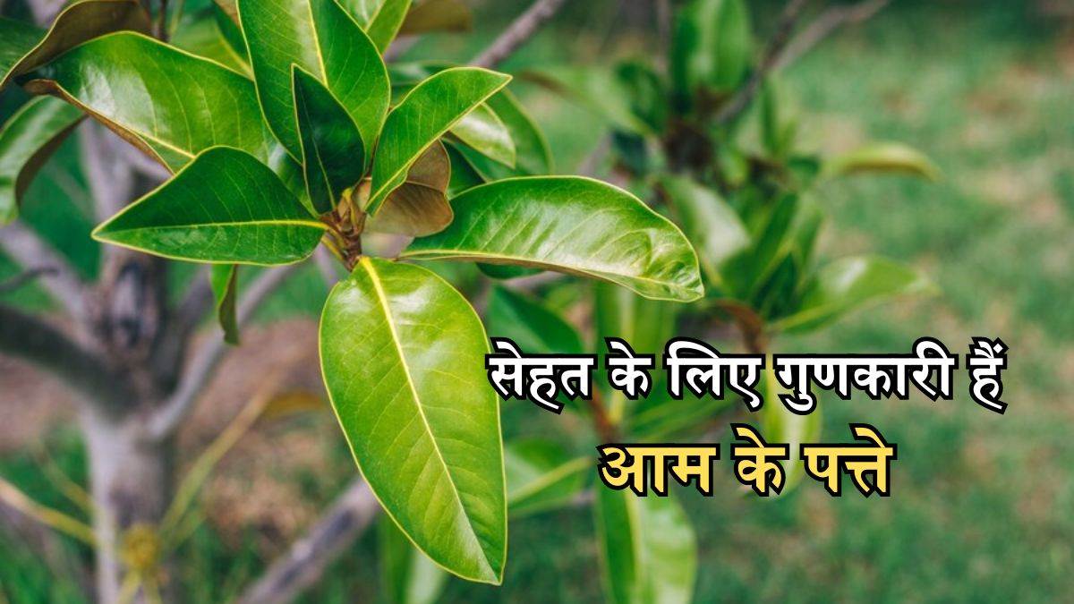https://www.jagranimages.com/images/newimg/03032024/03_03_2024-3_march_5_23666151.jpg
