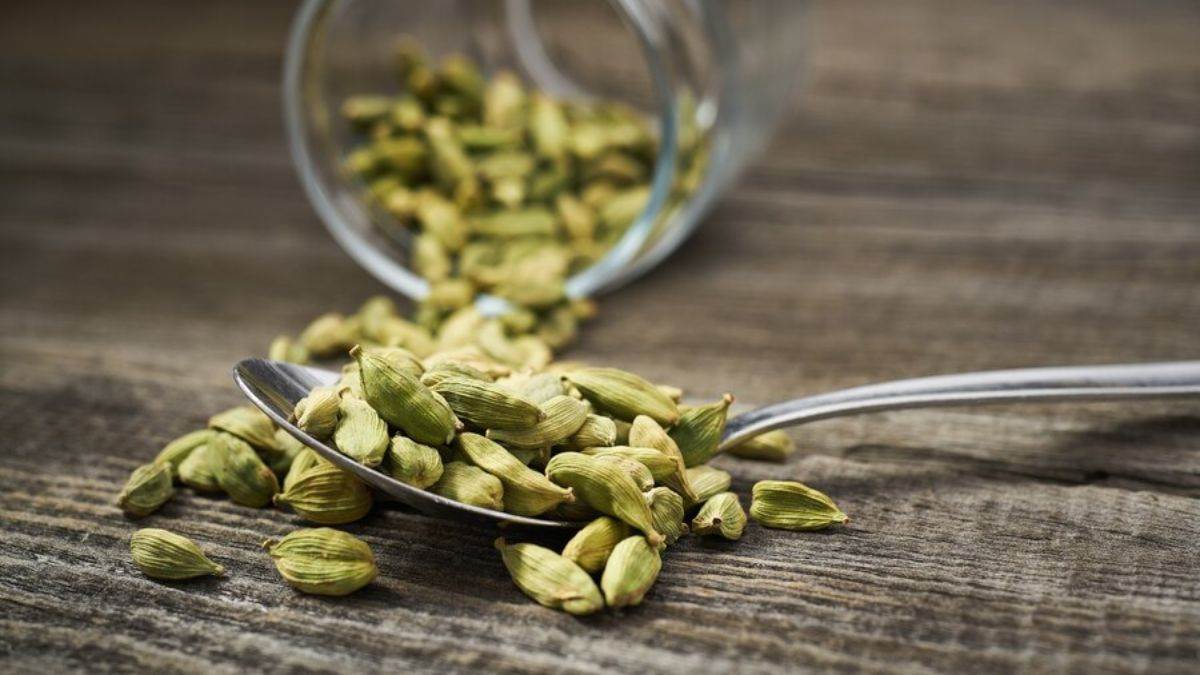 cardamom benefits drinking cardamom water can give many health benefits elaichi ke fayde in hindi