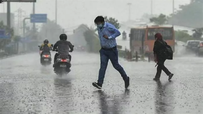 Weather News: झमाझम बारिश और ओलावृष्टि से फसलों को नुकसान। फाइल फोटो