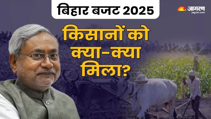 बिहार बजट में किसानों के लिए कई बड़ी घोषणाएं। (फोटो जागरण)