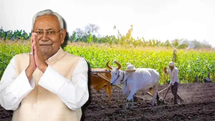 नीतीश सरकार ने चुनाव से पहले कर दिया बड़ा एलान, 3 महीने में दिखेगा असर