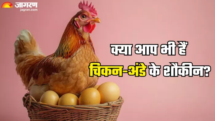 बर्ड फ्लू के बीच खाना चाहिए अंडा-चिकन?