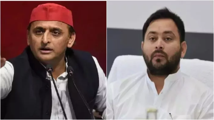Lok Sabha Election 2024: भाजपा ने मोहन यादव को मप्र का सीएम बनाकर बड़ा सियासी दांव खेला है।