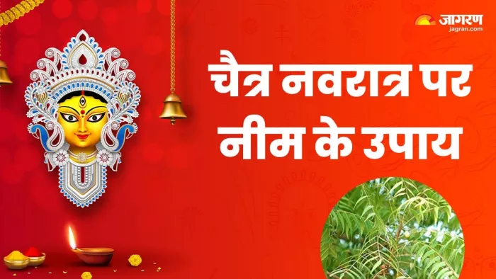 Chaitra Navratri 2024: चैत्र महीने में करें नीम के ये उपाय।