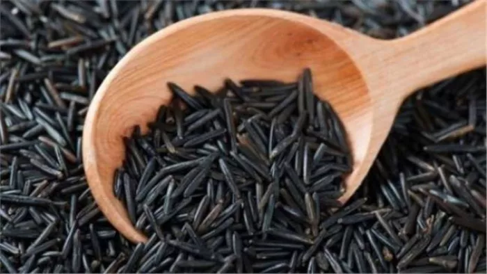 इस किस्म के चावल निर्यात को मिली सरकार की मंजूरी