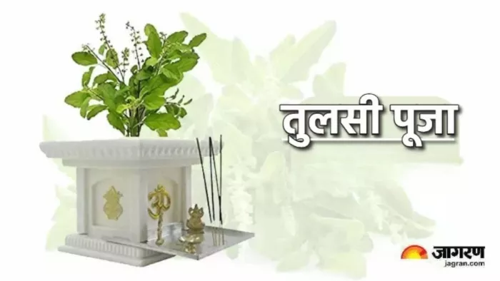 Tulsi Chalisa: गुरुवार को पूजा के समय करें इस चालीसा का पाठ, बनने लगेंगे सारे बिगड़े काम