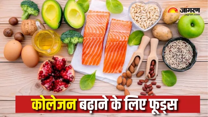 Collagen-Rich Foods: कोलेजन से भरपूर इन फूड्स को करें डाइट में शामिल (Picture Courtesy: Freepik)