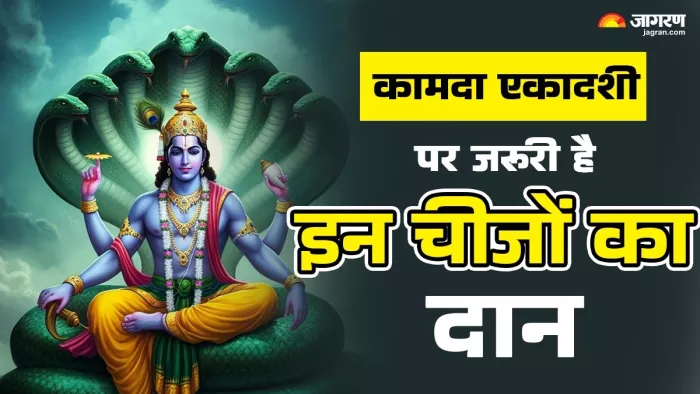 Kamada Ekadashi 2025 Daan List: कामदा एकादशी पर दान का महत्व ।