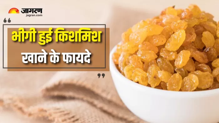 Soaked Raisin Benefits: रोज सुबह खाएंगे भीगी किशमिश, तो सेहत को मिलेंगे कई फायदे (Picture Courtesy: Freepik)