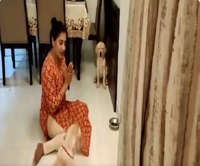 इस वीडियो को वैशाली माथुर ने शेयर किया है