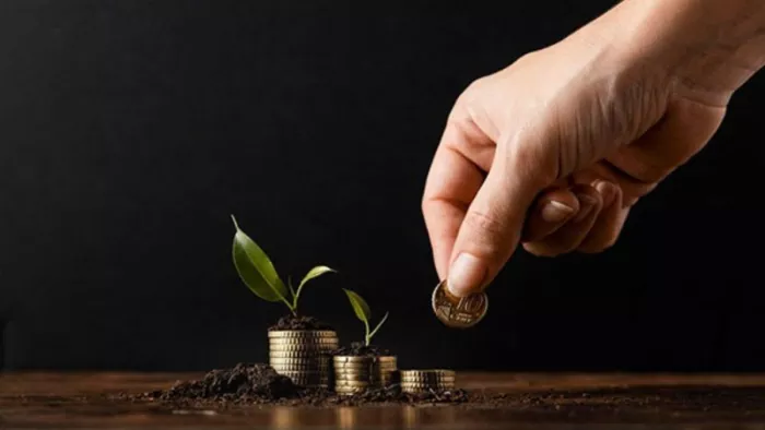 Read before putting money where will be more profit