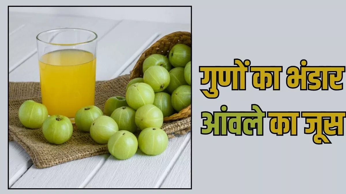 Amla Juice Benefits: कई बीमारियां और समस्याएं रहेंगी कोसों दूर, अगर रोजाना खाली पेट पिएंगे आंवले का जूस