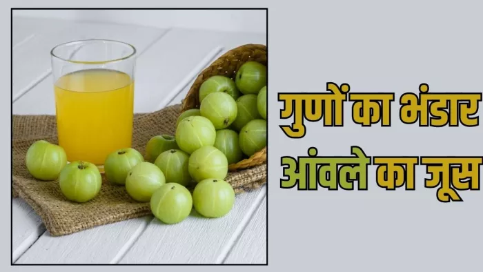 खाली पेट आंवले का जूस पीने से मिलेंगे ये 7 लाभ